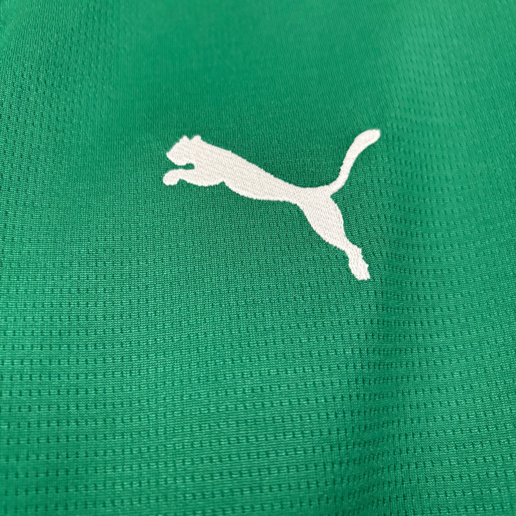Camisa Palmeiras 2026 - Torcedor