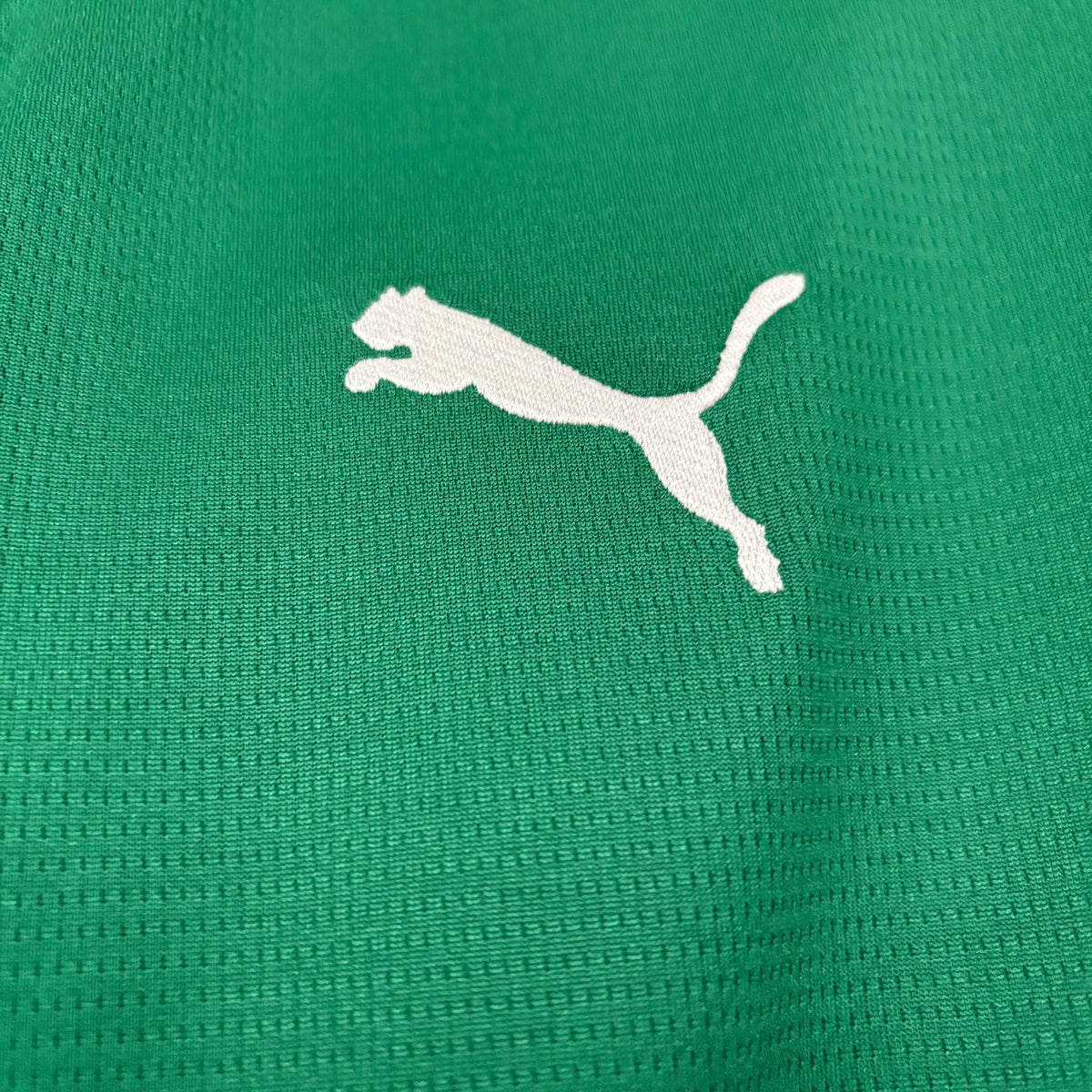 Camisa Palmeiras 2026 - Torcedor